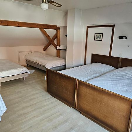 Hotel A La Croix D'Or Sessenheim المظهر الخارجي الصورة
